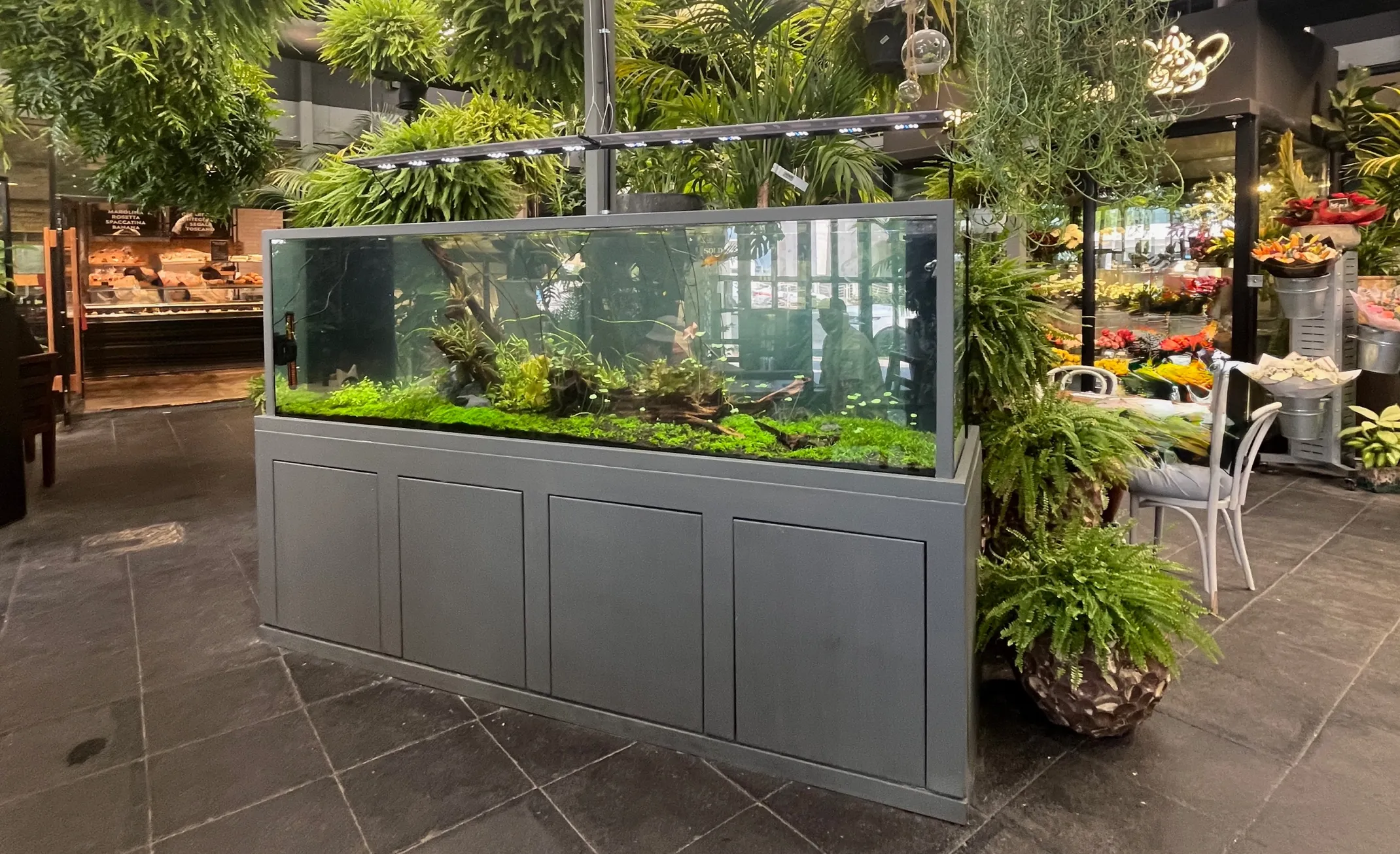 Aquarium Design